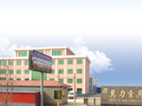 Car and motorcycle molds